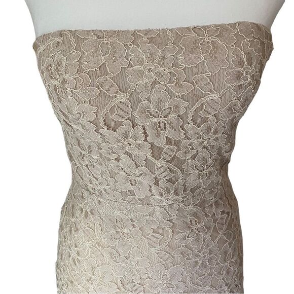 Diane Von Furstenberg Lace Strapless Dress Size 4 NWT - Picture 4 of 6